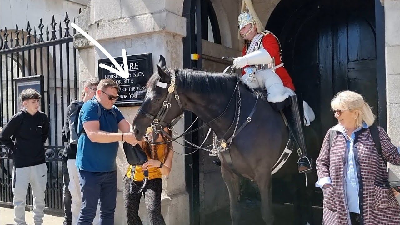 POLICE Removed these IDIOT group at horse guards, as they disrespect the king’s Guard 😡